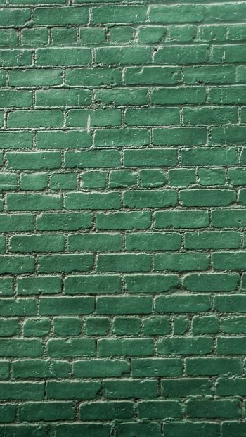 Обои 640x1136 кирпичная стена, стена, зеленые обои