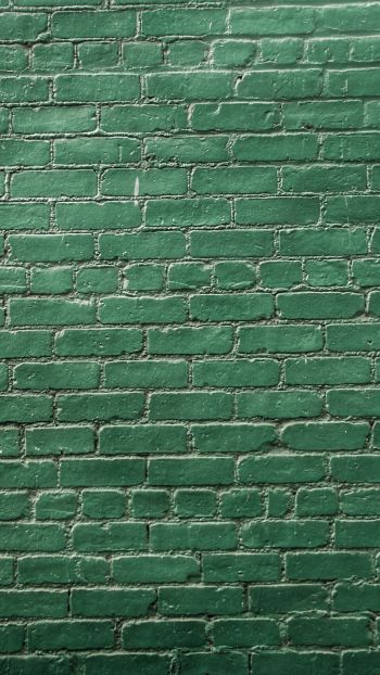 Обои 1440x2560 кирпичная стена, стена, зеленые обои
