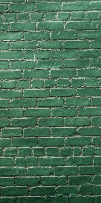 Обои 720x1440 кирпичная стена, стена, зеленые обои