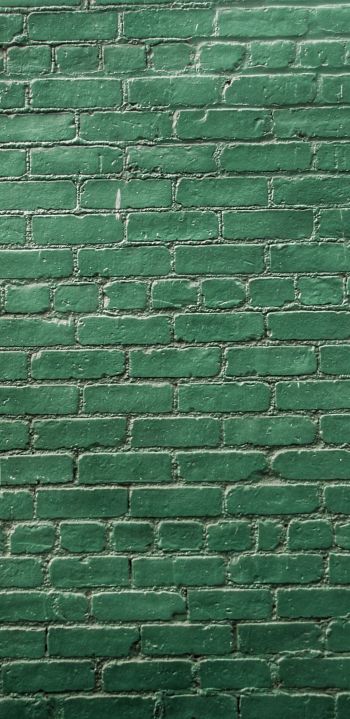 Обои 1080x2220 кирпичная стена, стена, зеленые обои