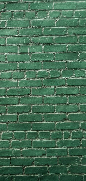 Обои 1080x2280 кирпичная стена, стена, зеленые обои