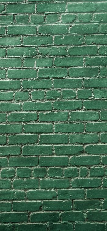 Обои 1170x2532 кирпичная стена, стена, зеленые обои
