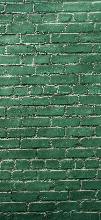 brick wall, wall, green wallpaper Wallpaper 1080x2340
