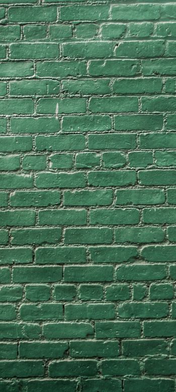 Обои 720x1600 кирпичная стена, стена, зеленые обои