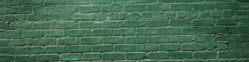 brick wall, wall, green wallpaper Wallpaper 1590x400