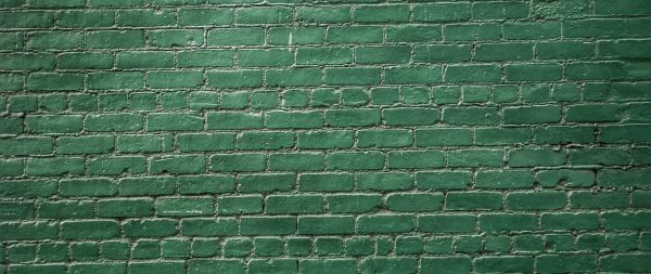 brick wall, wall, green wallpaper Wallpaper 2560x1080