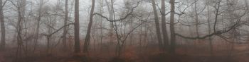 foggy forest, fog Wallpaper 1590x400
