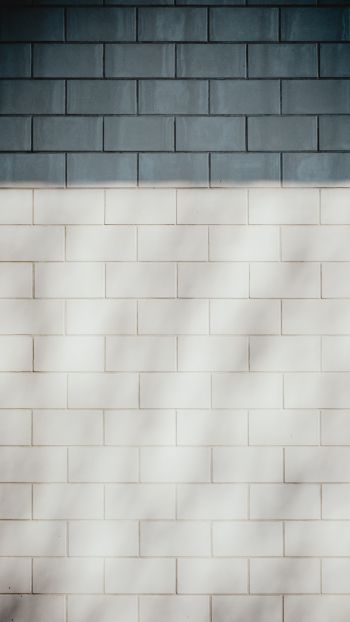brick wall, wall, black and white Wallpaper 1440x2560