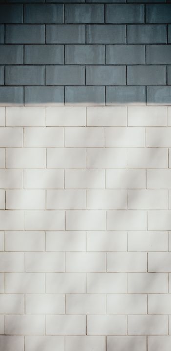 brick wall, wall, black and white Wallpaper 1080x2220