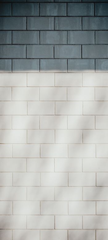 brick wall, wall, black and white Wallpaper 1440x3200