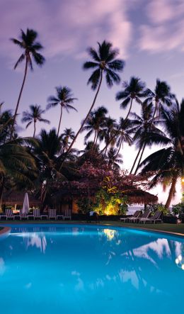 swimming pool, palm trees, rest Wallpaper 600x1024