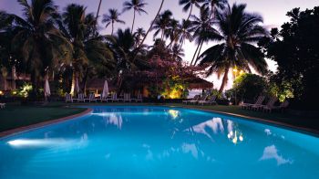 swimming pool, palm trees, rest Wallpaper 2560x1440