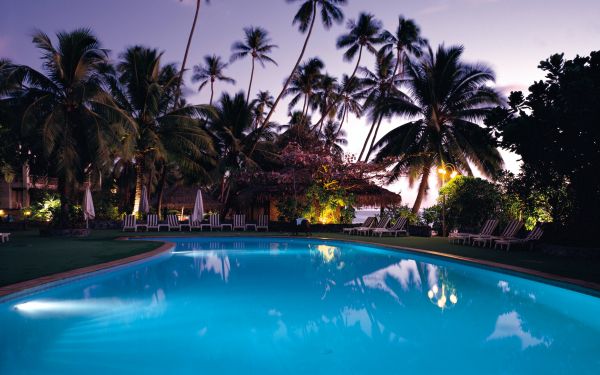 swimming pool, palm trees, rest Wallpaper 2560x1600