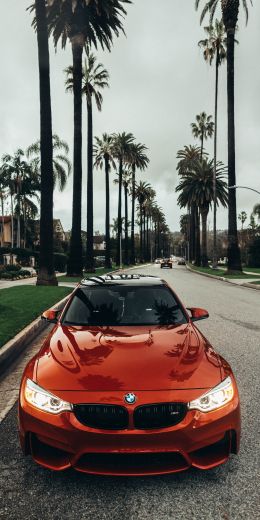 red BMW F80, sports car Wallpaper 720x1440