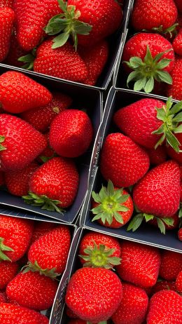 strawberry, berry, red Wallpaper 750x1334