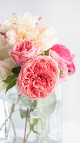 flower arrangement, light Wallpaper 640x1136