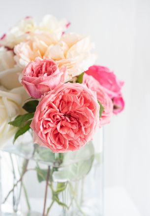 flower arrangement, light Wallpaper 1640x2360