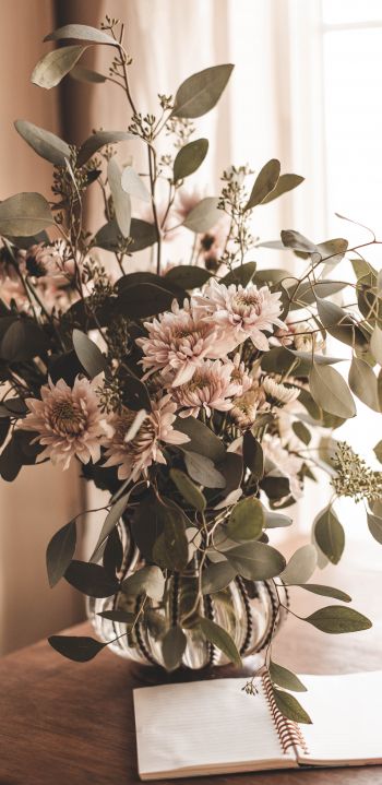 flower arrangement, aesthetic beige Wallpaper 1440x2960