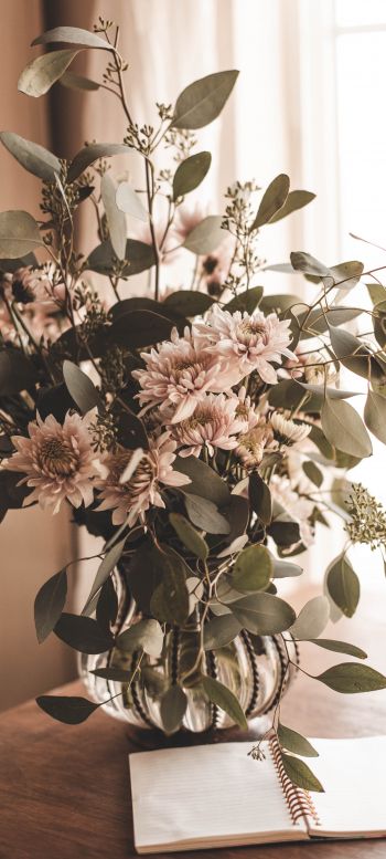 flower arrangement, aesthetic beige Wallpaper 720x1600