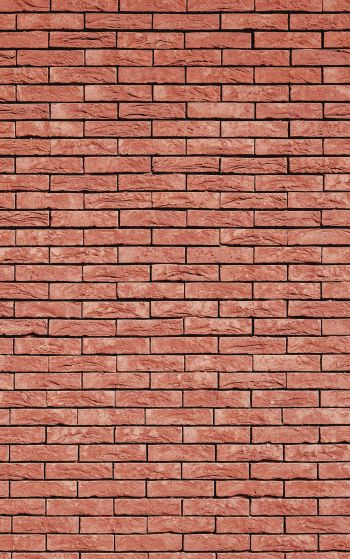 brick wall, wall, background Wallpaper 1752x2800