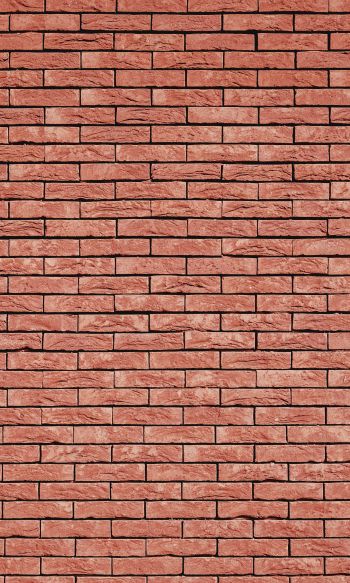 brick wall, wall, background Wallpaper 1200x2000