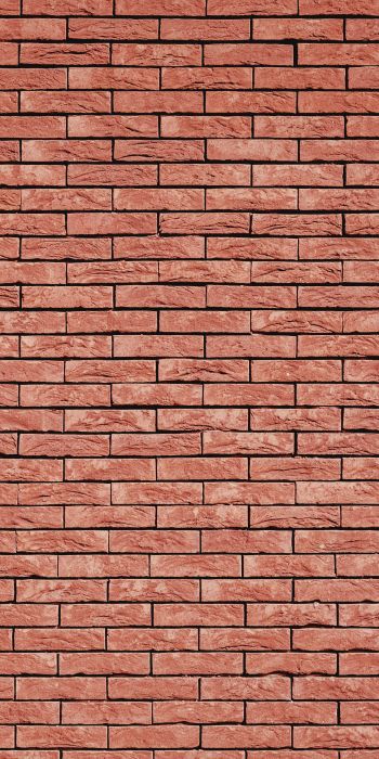 brick wall, wall, background Wallpaper 720x1440
