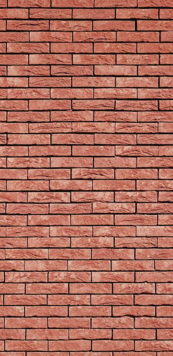 brick wall, wall, background Wallpaper 1440x2960