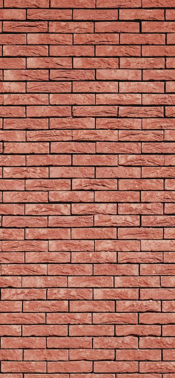 brick wall, wall, background Wallpaper 1284x2778