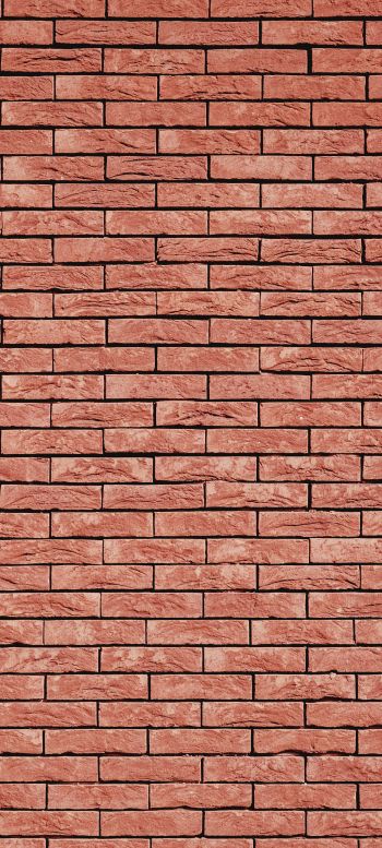 brick wall, wall, background Wallpaper 1440x3200