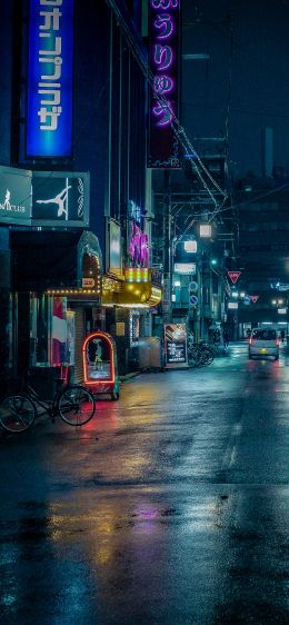 night city, lane, Japan Wallpaper 828x1792