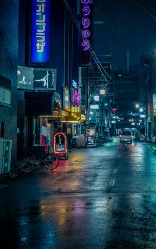 Обои 1752x2800 ночной город, переулок, Япония