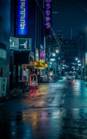 night city, lane, Japan Wallpaper 1752x2800