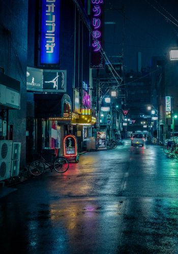 Обои 1668x2388 ночной город, переулок, Япония