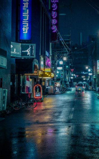 Обои 1752x2800 ночной город, переулок, Япония