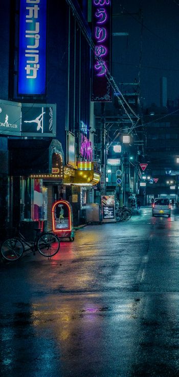 Обои 1080x2280 ночной город, переулок, Япония