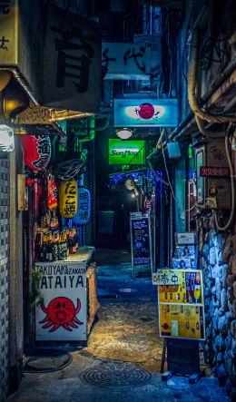 night city, lane, Japan Wallpaper 600x1024