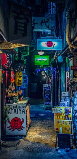 night city, lane, Japan Wallpaper 1080x2220