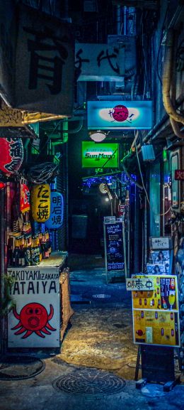 night city, lane, Japan Wallpaper 1080x2400