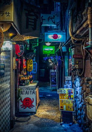 night city, lane, Japan Wallpaper 1668x2388