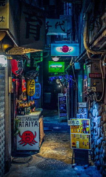 Обои 1200x2000 ночной город, переулок, Япония