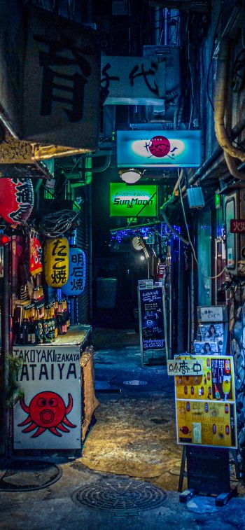 Обои 1242x2688 ночной город, переулок, Япония