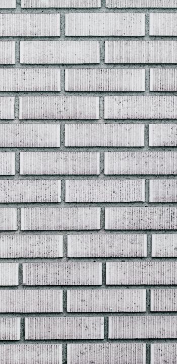 brick wall, wall, background Wallpaper 1080x2220