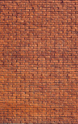 brick wall, wall, background Wallpaper 1752x2800