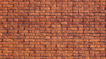 brick wall, wall, background Wallpaper 1600x900