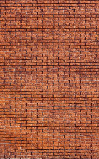 brick wall, wall, background Wallpaper 1600x2560