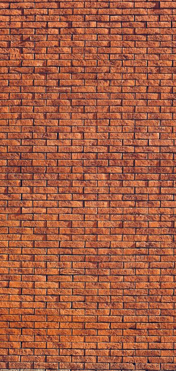 brick wall, wall, background Wallpaper 720x1520