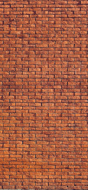brick wall, wall, background Wallpaper 1242x2688