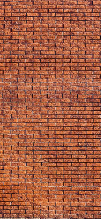 brick wall, wall, background Wallpaper 1080x2340
