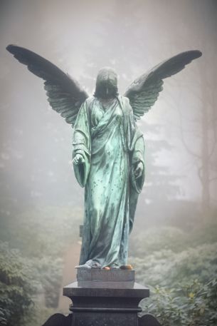 Обои 3648x5472 статуя, кладбище, ангел