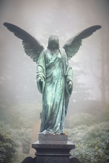 Обои 640x960 статуя, кладбище, ангел